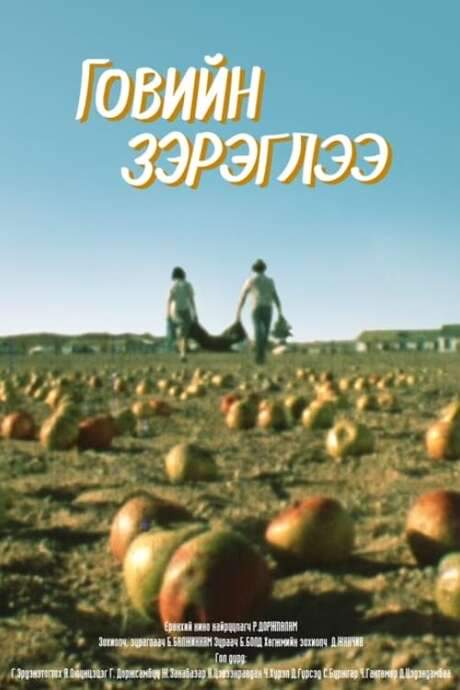 Mirage Above the Gobi Desert